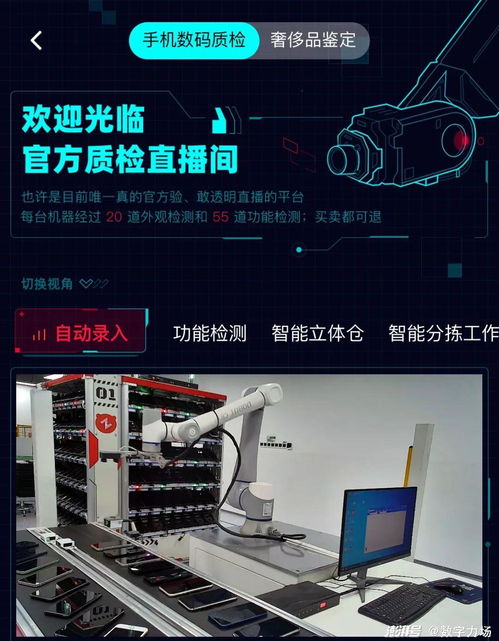 二手电商的结与解 技术咨询视角