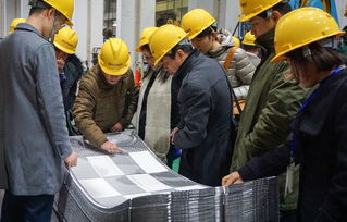 技术赋能产业升级 中石化上海工程医药食品专家团莅临艾克森工厂开展技术咨询交流